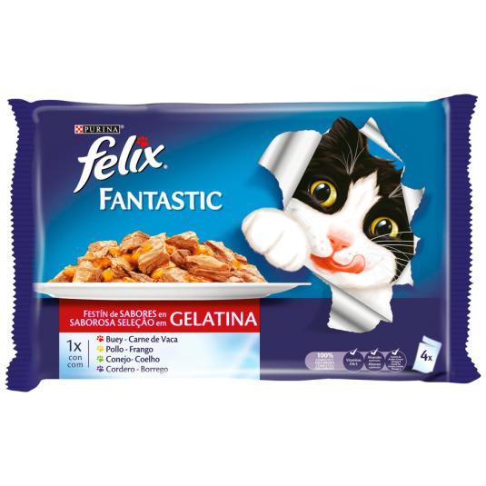 ALIMENTO GATO FELIX CARNES POUCHE 4X85G