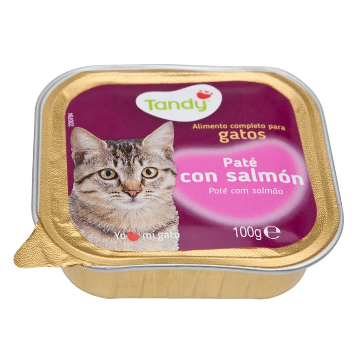 ALIM. GATO TANDY SALMON TARRINA 100 GR