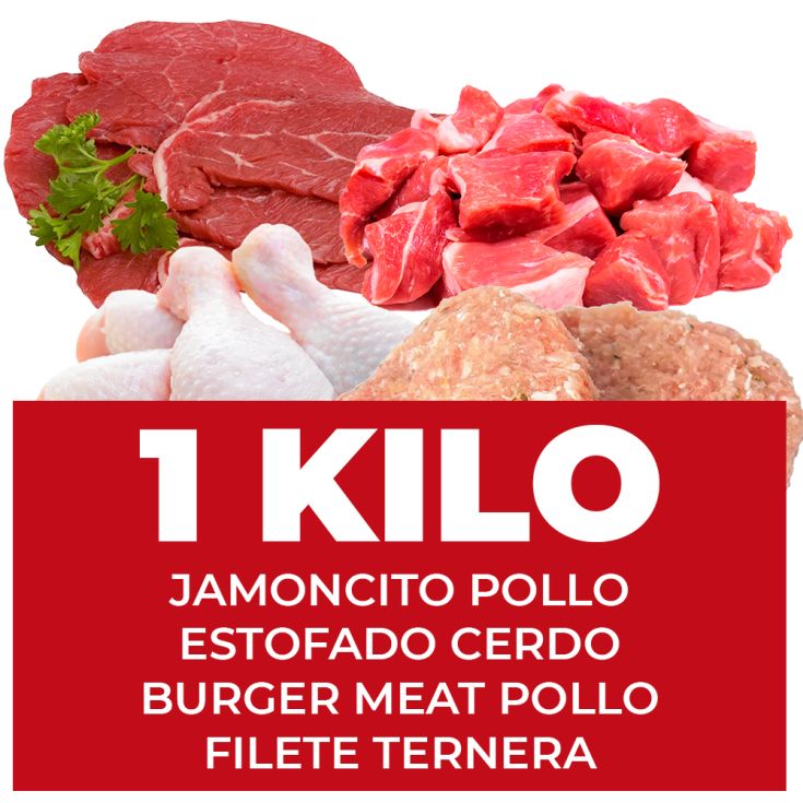 LOTE Nº 10