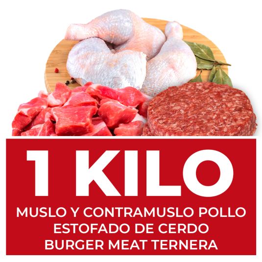 LOTE Nº 12
