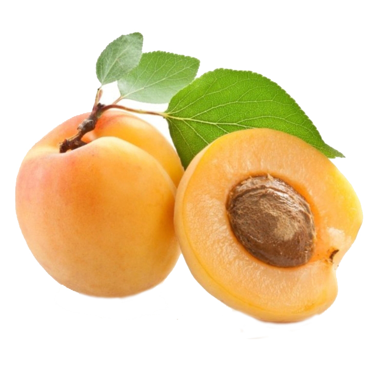 ALBARICOQUE
