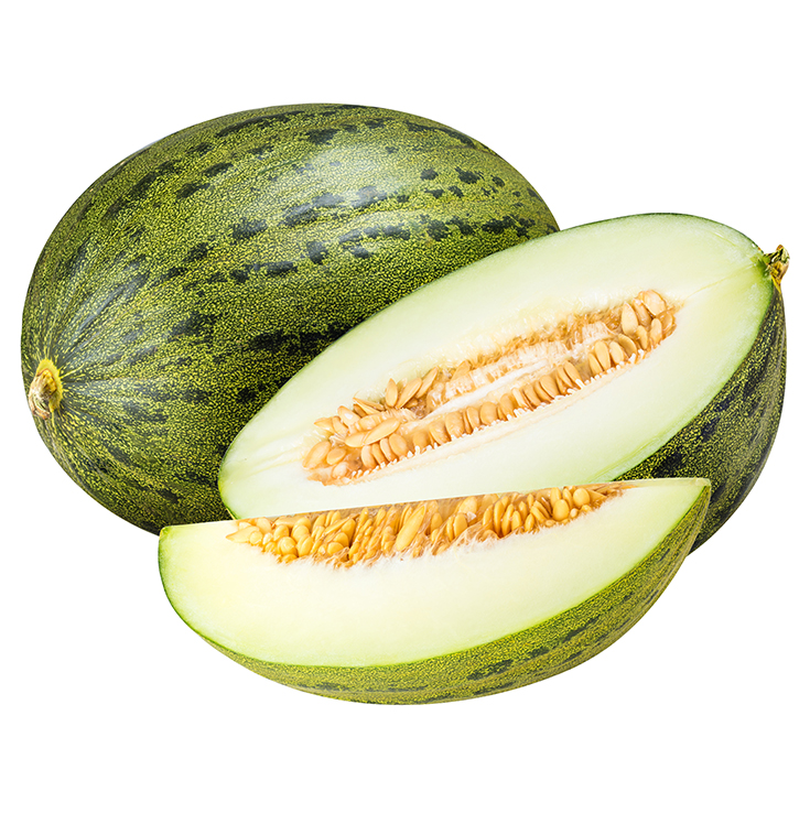 MELON PIEL SAPO SELECCION