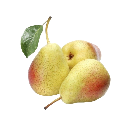 PERA ERCOLINA