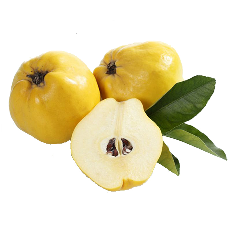 MEMBRILLO