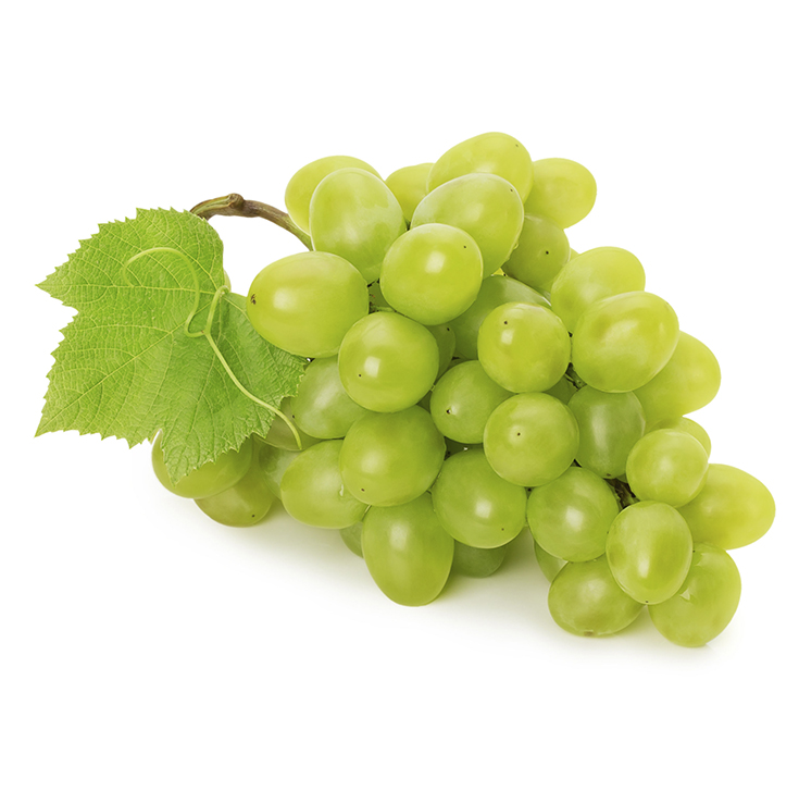 UVA BLANCA D.MARIA / VICTORIA