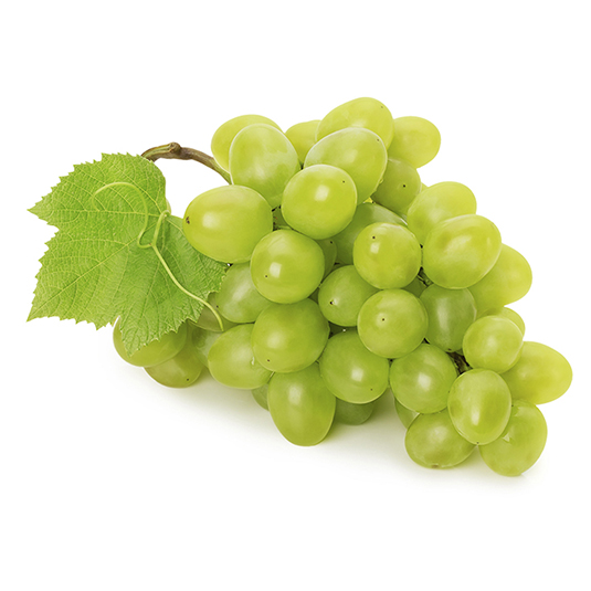 UVA BLANCA D.MARIA / VICTORIA