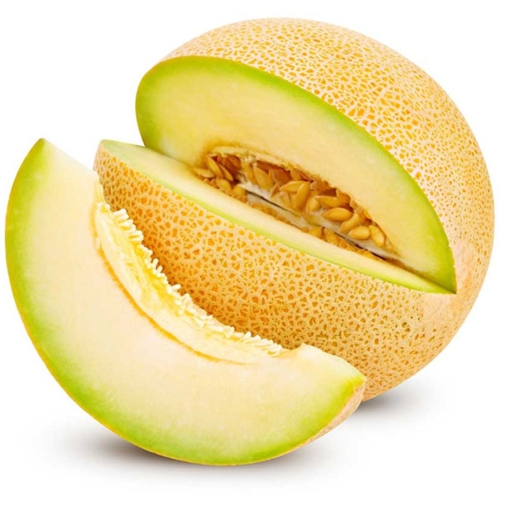 MELON GALIA