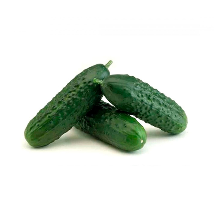 PEPINO