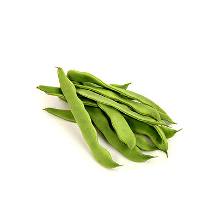 JUDIA ANCHA PLANA