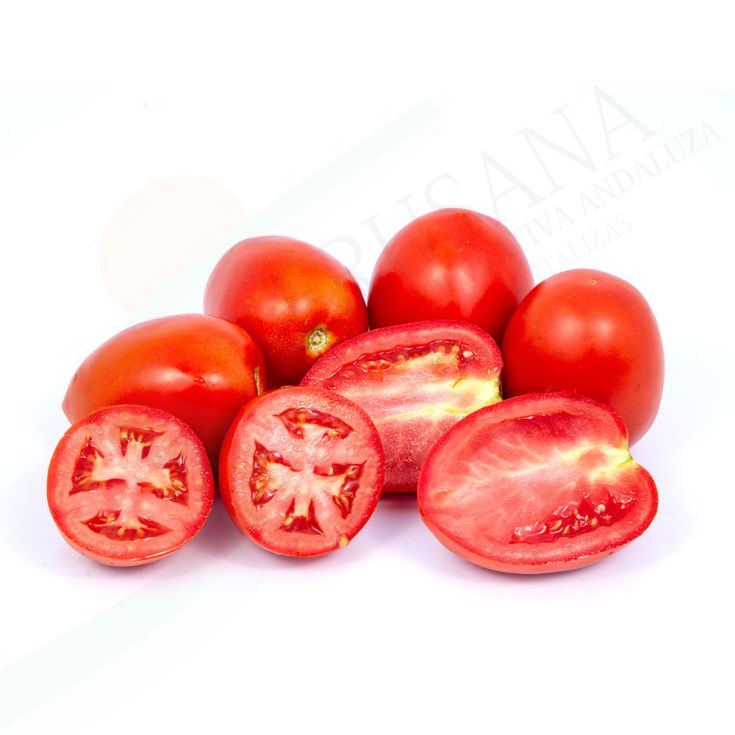 TOMATE PERA OFERTA
