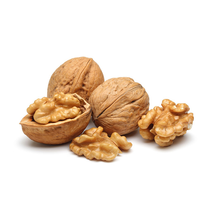 NUECES